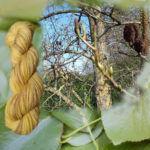 Laine à tricoter en mérinos différentes nuances du jaune au marron avec de l'aulne, fabriquée en france, merino