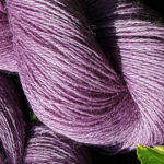 Shetland Violet Dark