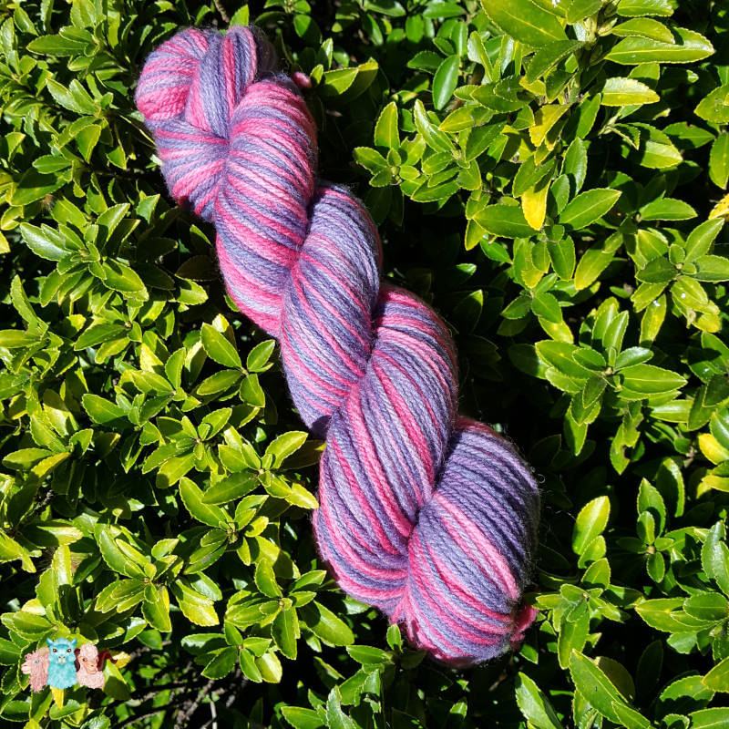 laine-mérinos-fruits-sauvages-écheveau Laine Mérinos Multicolore en écheveau de coloris violet et rose rouge, merino, fabriquée en france