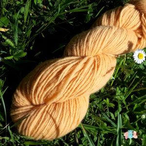 Détails d'un écheveau de laine locale fil mèche fin coloris jaune d'or fabriqué en france