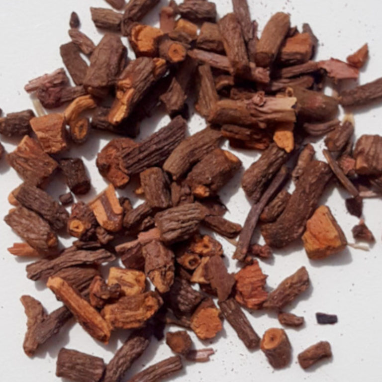 Gros plan de racine de garance des teinturiers colorant naturel pour le rouge et orange