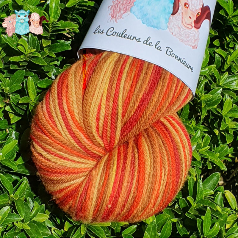 Laine Mérinos Multicolore Peinte en détails écheveau aux couleurs de l'automne aux nuances jaune, orange, rouge grenat, et marron merino, laine artisanale fabriquée en france