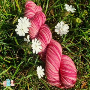 Echeveau dans l'herbe avec fleurs blanches Pure Laine Mérinos de multicolore de rose rouge à rose, merino Fabriquée en France.