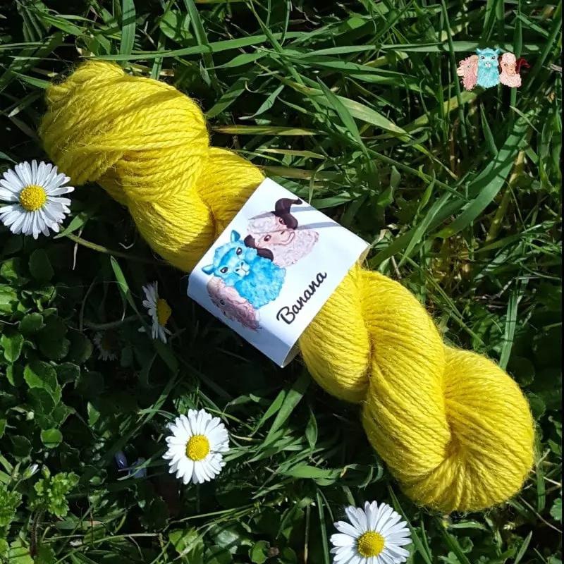 laine-Alpaga-banana-echeveau Echeveau de laine alpaga, teintée naturellement en jaune vif, posée sur de l'herbe verte avec des pâquerettes. Laine artisanale, teinture végétale faite à la main en France