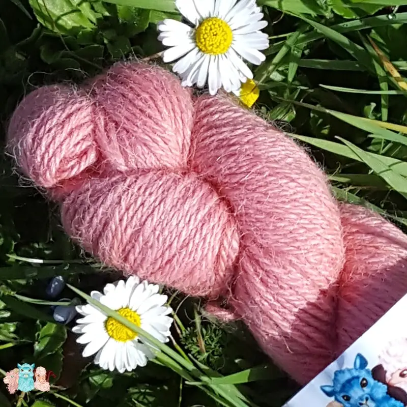 Détail d'un écheveau de laine alpaga, teintée naturellement en rose tendre posée sur de l'herbe verte avec des pâquerettes. Laine artisanale, teinture végétale faite à la main en France