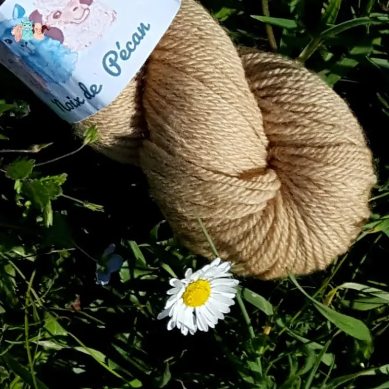Détail écheveau de laine mérinos, teinté naturellement en marron clair posé sur de l'herbe verte avec des pâquerettes. Laine artisanale, teinture végétale faite à la main en France