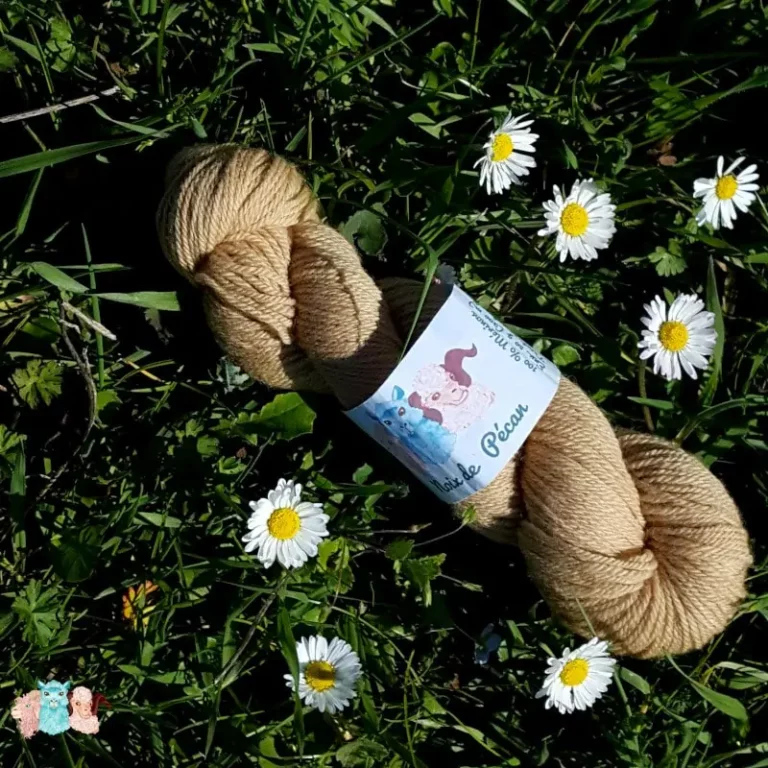 Echeveau de laine mérinos, teinté naturellement en marron clair posé sur de l'herbe verte avec des pâquerettes. Laine artisanale, teinture végétale faite à la main en France