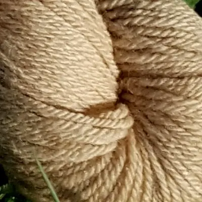 Gros plan écheveau de laine mérinos, teinté naturellement en marron clair posé sur de l'herbe verte avec des pâquerettes. Laine artisanale, teinture végétale faite à la main en France