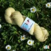 laine-merinos-tendre-citron-echeveau Echeveau de laine mérinos, teinté naturellement en jaune pastel posé sur de l'herbe verte avec des pâquerettes. Laine artisanale, teinture végétale faite à la main en France