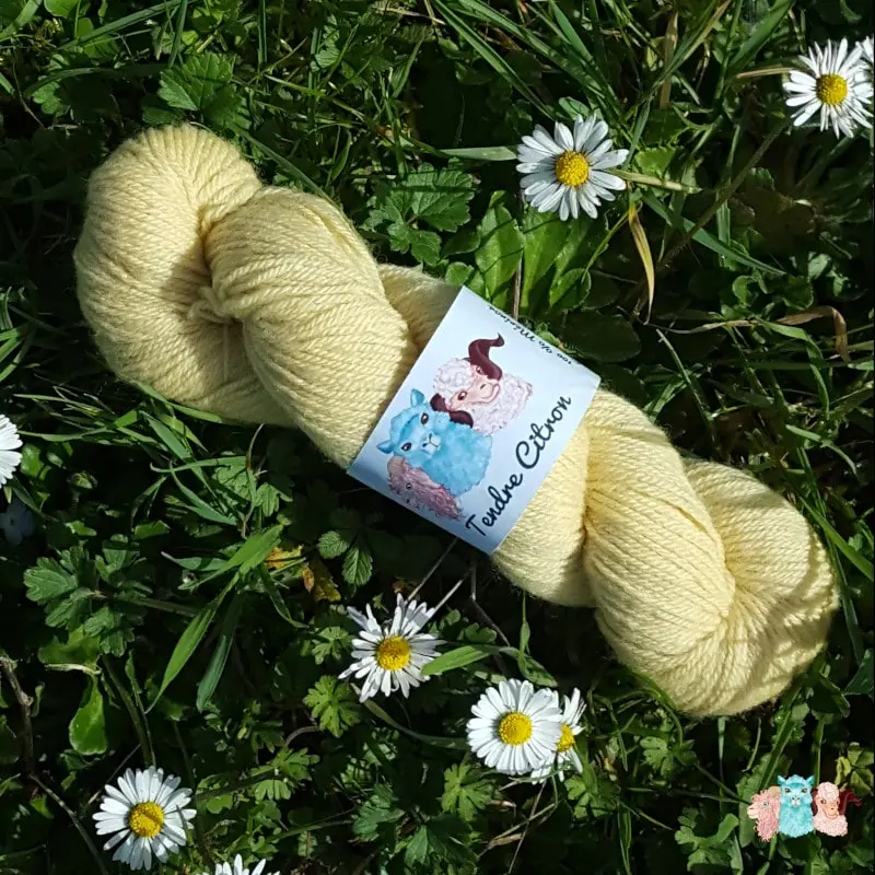 laine-merinos-tendre-citron-echeveau Echeveau de laine mérinos, teinté naturellement en jaune pastel posé sur de l'herbe verte avec des pâquerettes. Laine artisanale, teinture végétale faite à la main en France