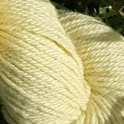 laine-merinos-tendre-citron Gros plan écheveau de laine mérinos, teinté naturellement en jaune pastel posé sur de l'herbe verte avec des pâquerettes. Laine artisanale, teinture végétale faite à la main en France