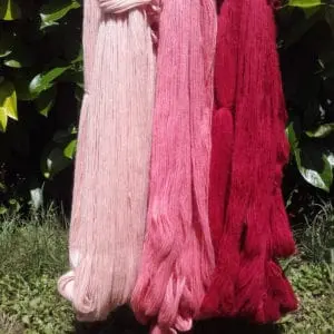 Echeveaux de laine mérinos teints en dégradé de rose rouge, illustrant les effets des mordants utilisés en teinture naturelles
