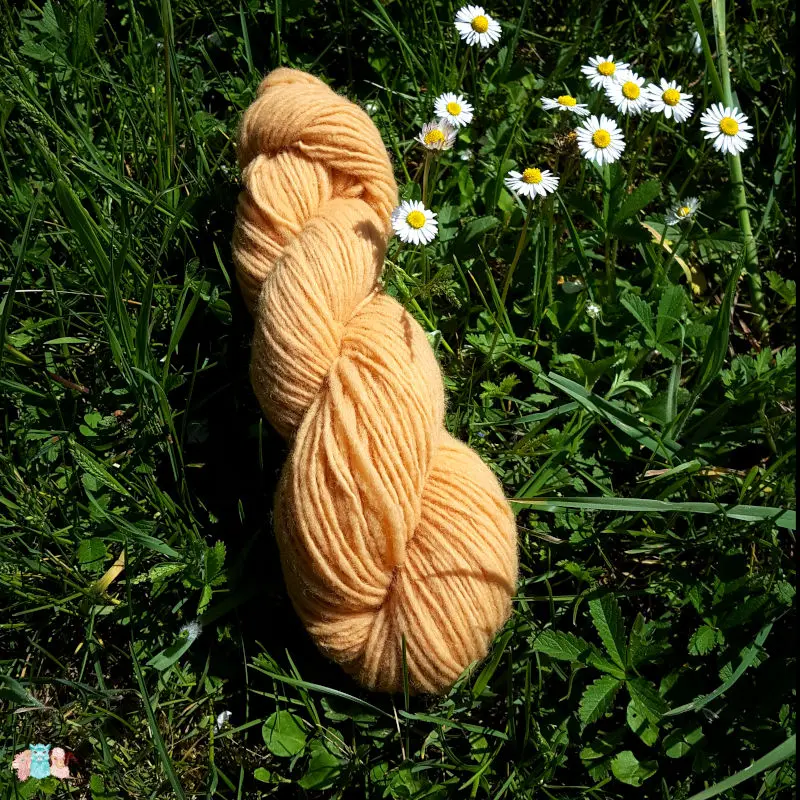 Echeveau de laine française fil mèche fin coloris jaune doré sur fond d'herbe avec des fleurs fabriqué en france