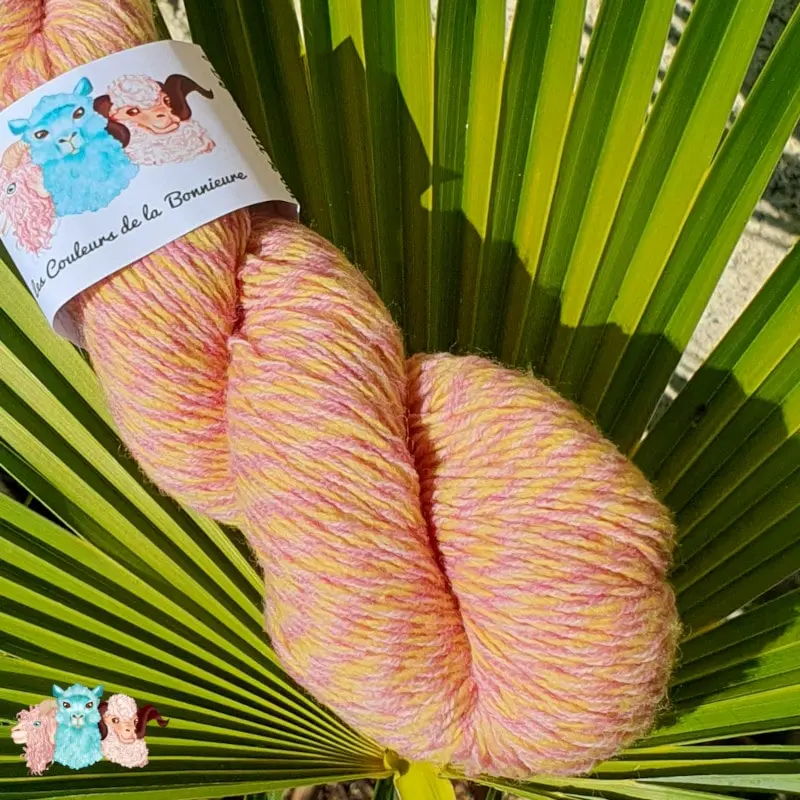 laine_chine_violet_jaune_detail Détail d'un écheveau de laine chinée violet et jaune, sur fond de feuilles vert, fabrication française