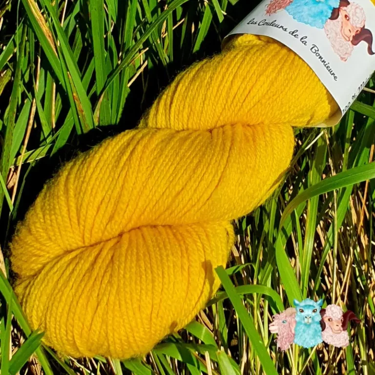 Détail d'un écheveau de laine mérinos unie, teinté naturellement en jaune posé sur fond d'herbe verte, teinture végétale faite à la main en France