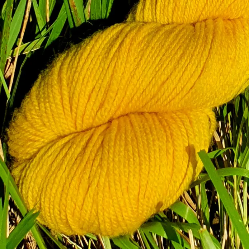 Gros plan d'un écheveau de laine mérinos unie, teinté naturellement en jaune posé sur fond d'herbe verte, teinture végétale faite à la main en France