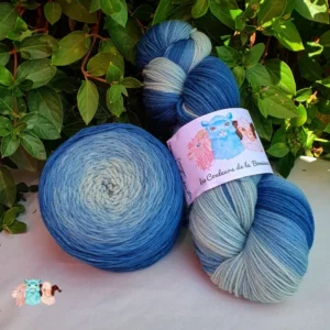 Echeveau et pelote de laine de coloris du bleu foncé au bleu clair devant des feuilles vertes et posé sur un fond gris.