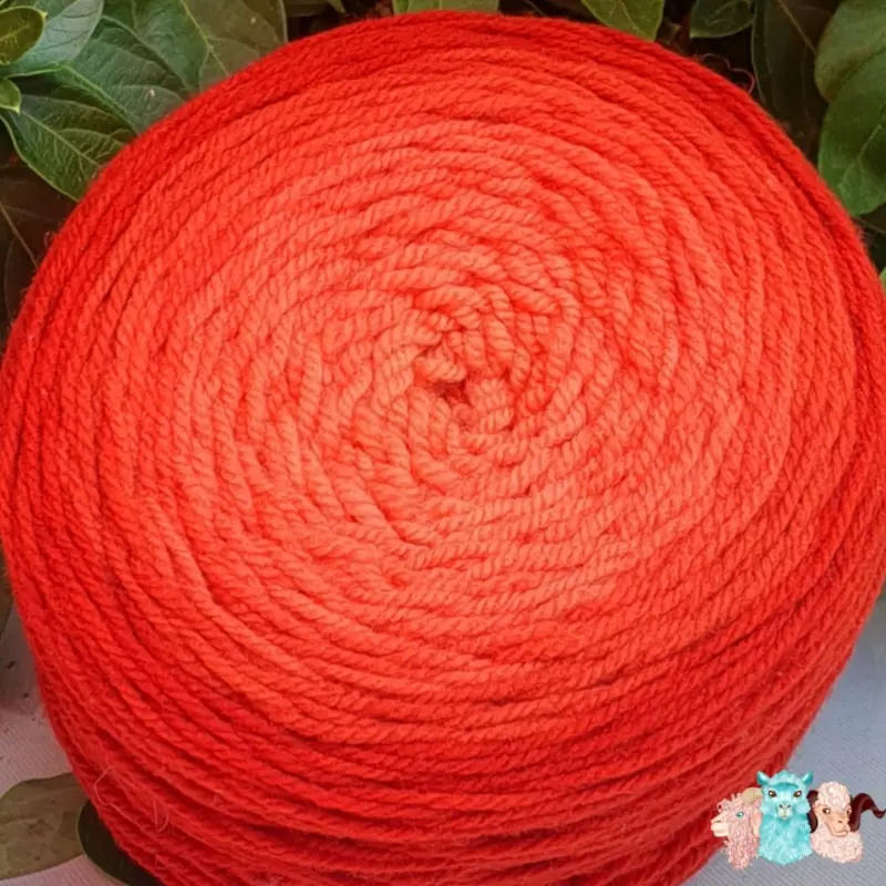 Laine_cake_degrade_orange_detail Détail d'une pelote de laine de coloris de l'orange foncé à l'orange clair devant des feuilles vertes et posé sur un fond gris.