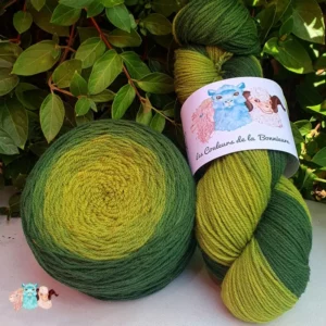 Echeveau et pelote de laine de coloris du vert sombre au vert clair devant des feuilles vertes et posé sur un fond gris