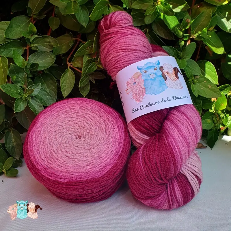 Laine_cake_degrade_violet Echeveau et pelote de laine de coloris du violet foncé au violet clair devant des feuilles vertes et posé sur un fond gris.