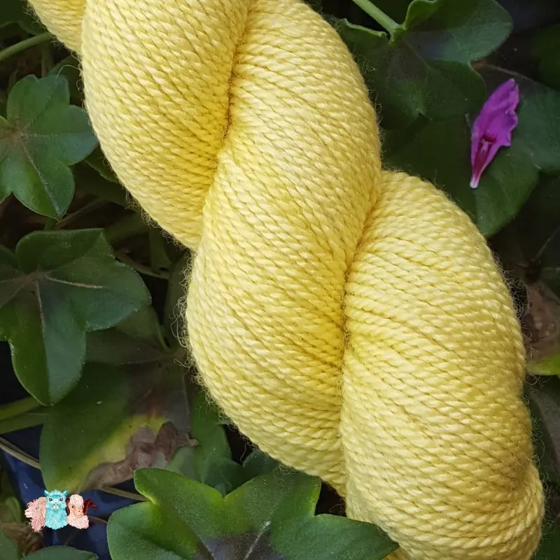 Détail d'un écheveau de laine mérinos soie teinté en jaune clair sur un fond d'herbe verte.