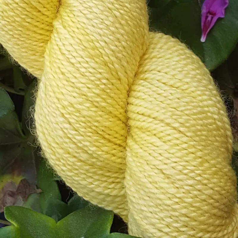 Gros pland'un écheveau de laine mérinos soie teinté en jaune clair sur un fond d'herbe verte.