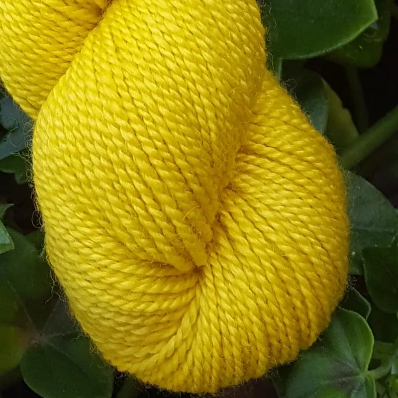 Gros plan d'un écheveau de laine mérinos soie teinté en jaune intense sur un fond d'herbe verte.