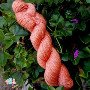 Echeveau de laine mérinos soie teinté en orange rouge sur un fond d'herbe verte.