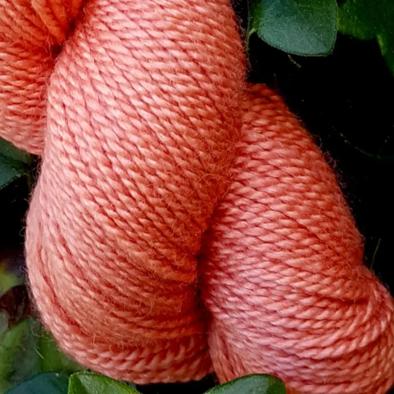 Gros plan d'un écheveau de laine mérinos soie teinté en orange rouge sur un fond d'herbe verte.