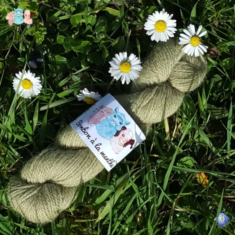 Echeveau de laine alpaga, teintée naturellement en vert foncé posée sur de l'herbe verte avec des pâquerettes. Laine artisanale, teinture végétale faite à la main en France