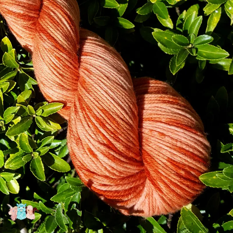 Détail d'un écheveau de laine mérinos multicolore orange avec des nuances sur un fond de feuilles vertes