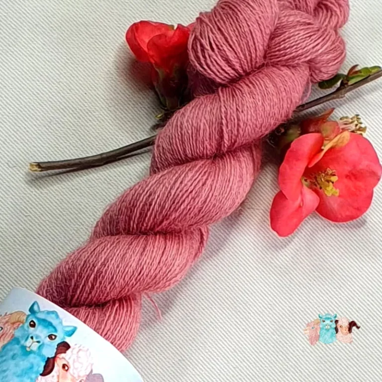 Détail d'un écheveau laine dentelle rose violet, fil lace teinté naturellement avec une fleur rouge, fond gris.