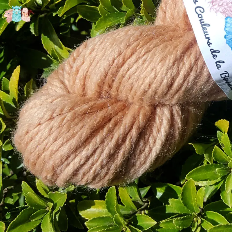 Détail d'un écheveau de laine mérinos alpaga teinté en beige sur un fond de feuilles vertes.