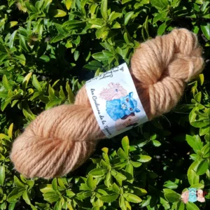 Echeveau de laine mérinos alpaga teinté en beige sur un fond de feuilles vertes.