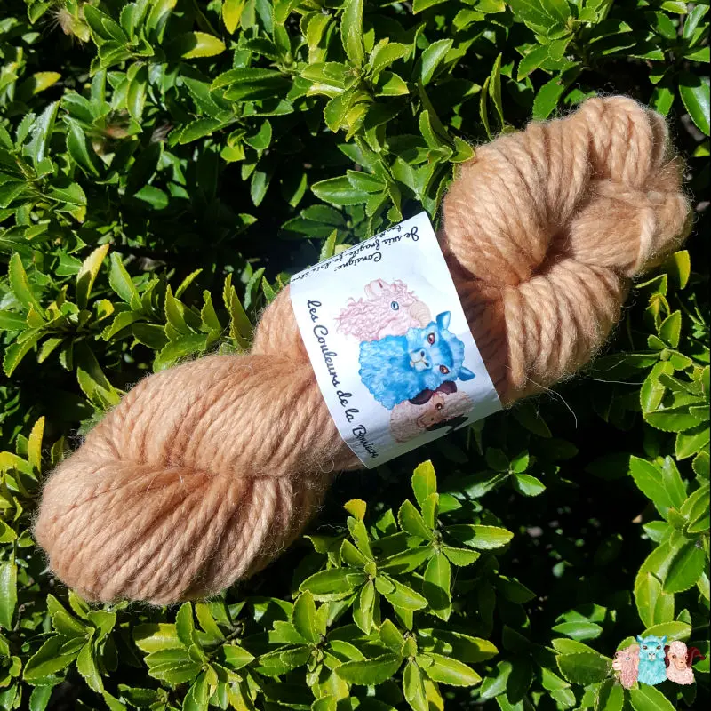 Echeveau de laine mérinos alpaga teinté en beige sur un fond de feuilles vertes.