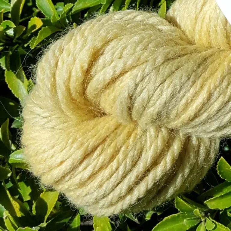 Gros plan d'un écheveau de laine mérinos alpaga teinté en jaune nuancé de gris sur un fond de feuilles vertes.