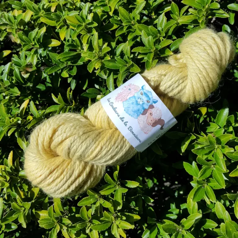 Echeveau de laine mérinos alpaga teinté en jaune nuancé de gris sur un fond de feuilles vertes.