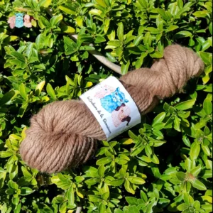 Echeveau de laine mérinos alpaga teinté en marron sur un fond de feuilles vertes.