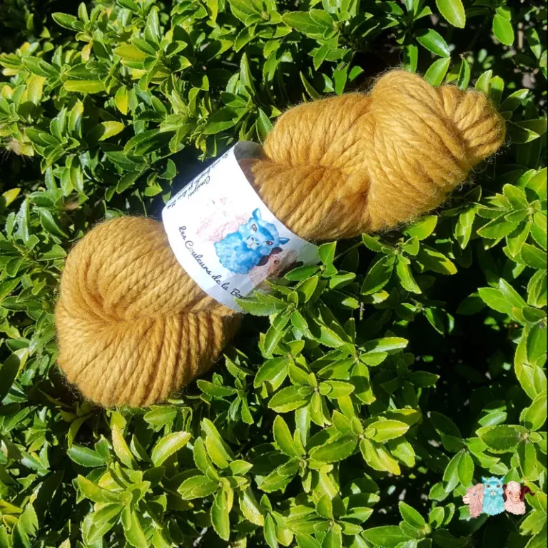 Echeveau de laine mérinos alpaga teinté en jaune doré sur un fond de feuilles vertes.