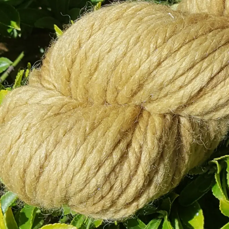 Gros plan d'un écheveau de laine mérinos alpaga teinté en jaune poire sur un fond de feuilles vertes.