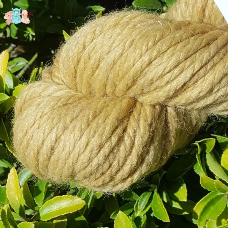 Détail d'un écheveau de laine mérinos alpaga teinté en jaune poire sur un fond de feuilles vertes.