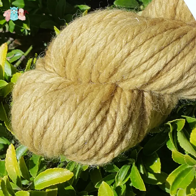 Détail d'un écheveau de laine mérinos alpaga teinté en jaune poire sur un fond de feuilles vertes.