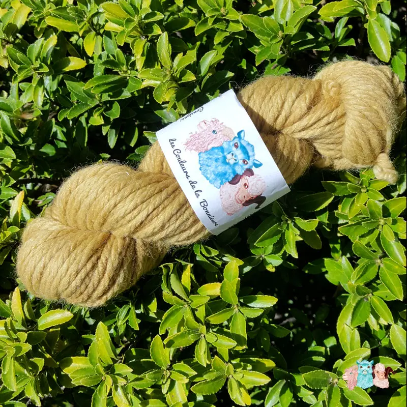Echeveau de laine mérinos alpaga teinté en jaune poire sur un fond de feuilles vertes.