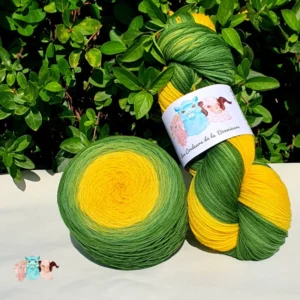 Echeveau et pelote de laine de coloris du vert sombre au jaune intense devant des feuilles vertes et posé sur un fond gris