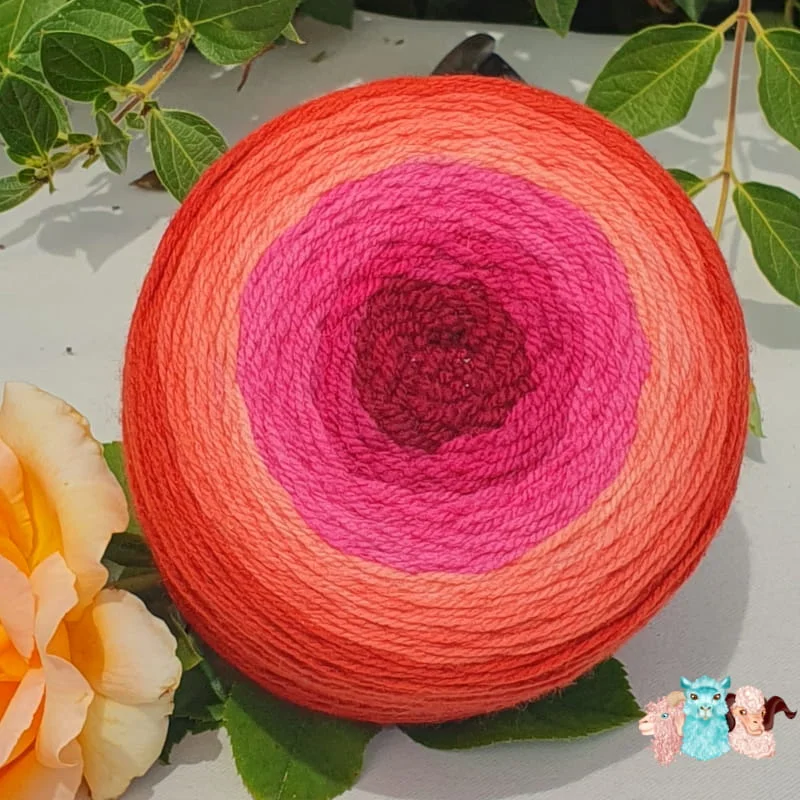 Pelote cake de laine de coloris de l'orange foncé au rouge bordeaux devant des feuilles vertes et posé sur un fond gris avec une rose.