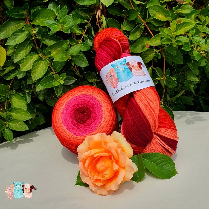 Echeveau et pelote cake de laine de coloris de l'orange foncé au rouge bordeaux devant des feuilles vertes et posé sur un fond gris avec une rose.