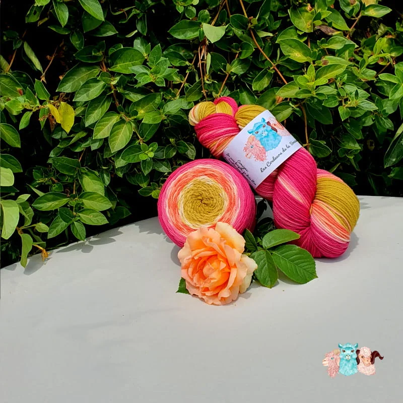 Echeveau et pelote cake de laine de coloris rouge, orange, écru et vert devant des feuilles vertes et posé sur un fond gris avec une rose.