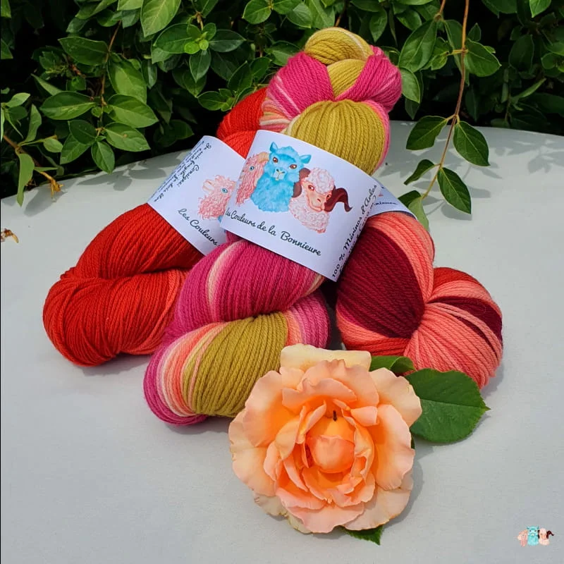 Plusieurs écheveaux de laine mérinos de coloris rouge, orange et vert devant des feuilles vertes et posé sur un fond gris avec une rose.