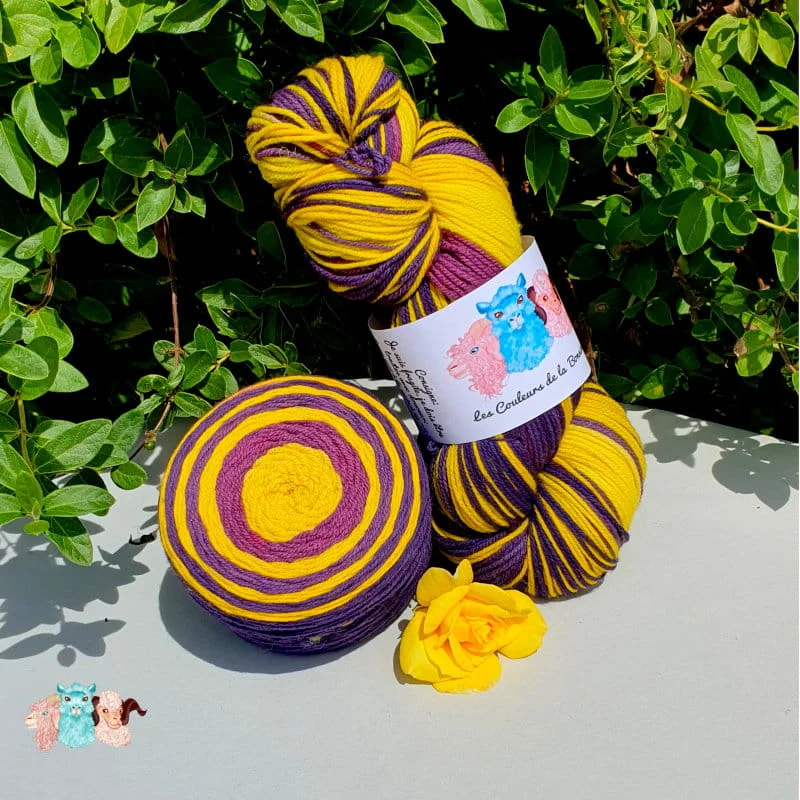 Echeveau et cake de laine de coloris violet et jaune devant des feuilles vertes et posé sur un fond gris avec une rose.